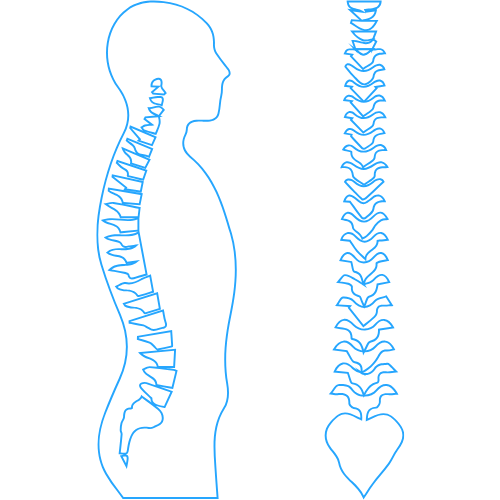 Spine Surgery